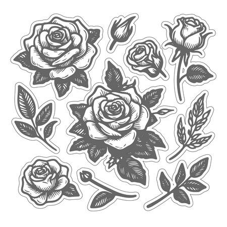 Set of rose flowers and leaves. Hand-drawn vector illustration.のイラスト素材