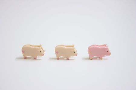 Swine shape paper clipsの写真素材