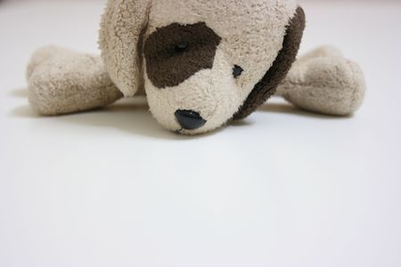 Stuffed toy dogの写真素材