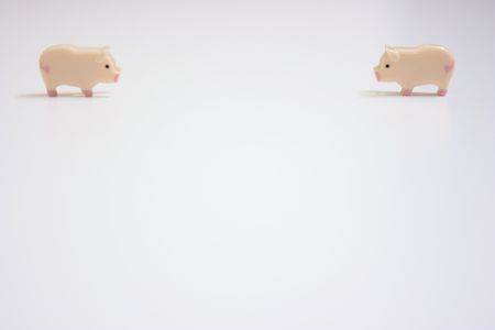 Two swines meeting upの写真素材