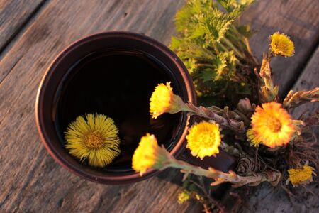 Closeup of fresh herbal tea with coltsfoot (Tussilago farfara) flowers and nettle on vintage wooden table background. Top viewの写真素材