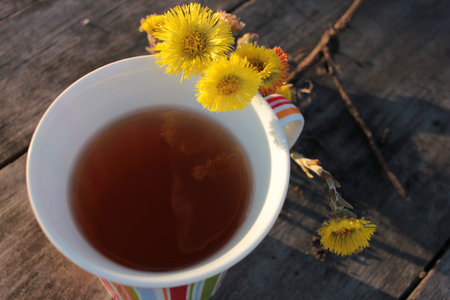 Useful anti-inflammatory herbal tea from medicinal plants with yellow coltsfoot on a wooden background outdoorsの写真素材