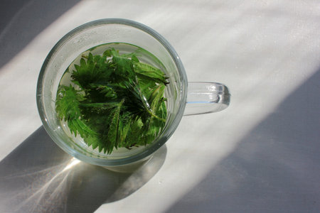 Fresh herbal tea made from the leaves and roots of stinging nettle plant in the glass cup on white background. Top view. Copy space. Natural way to boost the immune system and fight flu. Harsh lightの写真素材