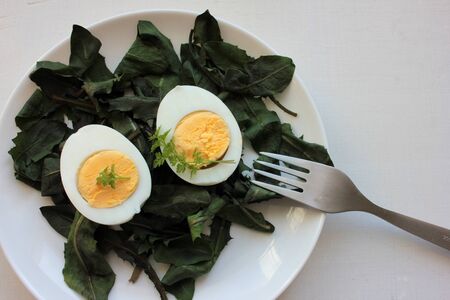 Spring salad with fresh dandelion greens and hard-boiled eggs in white plate on white wooden background. Close up, top view, copy spaceの写真素材