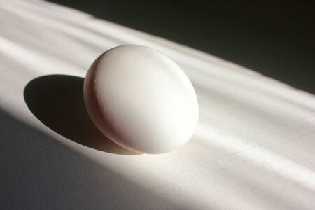 White egg on a white background with copy space. Hard light deep shadowsの写真素材