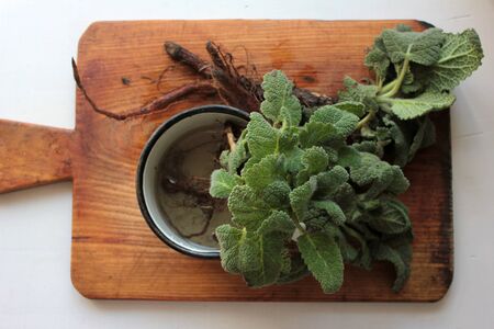 Closeup of a common, or culinary sage plant (Salvia officinalis) in a white enamel mug on a wooden cutting board background. Hard lightの写真素材