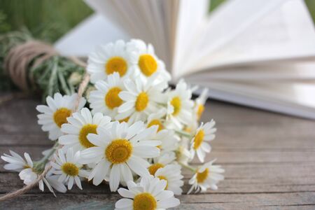 White daisies bouquet on a wooden table on a blurred open book background. Dreamy summer outdoor still lifeの写真素材