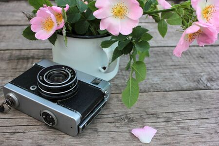 Vintage photo camera and flowers. Pink rose hips in a white enamel cup on a rustic wooden table. Summer still lifeの写真素材
