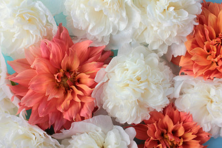 Orange dahlia and white malva flowers. Natural floral background
