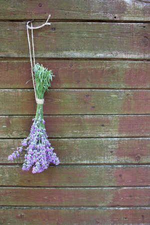 Bunch of lavender on a weathered wooden background with copy space. Process of drying and storing garden herbs. Selective focus.の写真素材