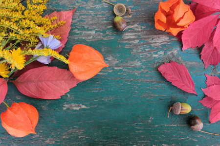 Colorful autumn leaves, flowers and acorns on light blue shabby wooden background. Natural frame. Top view, copy space. Selective focusの写真素材
