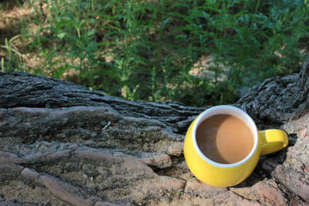 Yellow cup of coffee on a fallen tree in a park or garden. Green grass background. Enjoy morning...