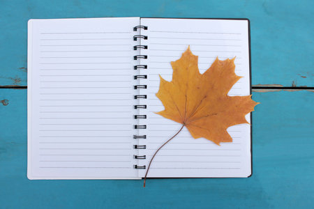 Flat lay autumn composition with yellow maple leaf on a notebook on blue wooden background. Top...