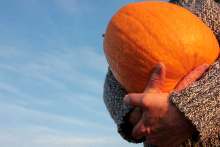 A person holding big orange pumpkin on the bright blue sky background. Female hands in gray sweater with huge pumpking. Copy spaceの写真素材