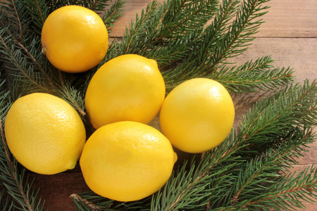 Ripe yellow lemons on wooden table decorated with Christmas tree branches. Fresh citrus fruits on wood background. Flat lay, copy space. Rustic style composition.の写真素材