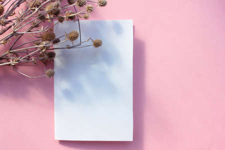Bunch of Sea Holly (Eryngium) purple-blue plant on colored background. Purple flower and blank greeting card on pink background. Invitation mockup. Top view, copy space.の写真素材