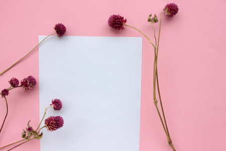 Blank paper on pink background with dried flowers. Mockup invitation card on colored backdrop. Top view, copy spaceの写真素材