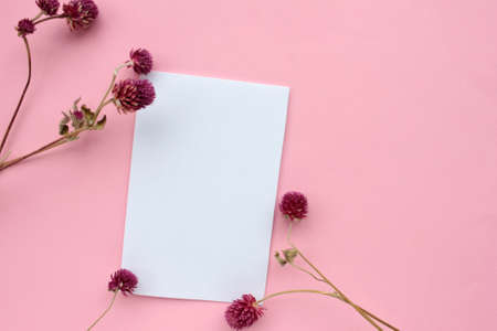 Blank paper on pink background with dried flowers. Mockup invitation card on colored backdrop. Top view, copy spaceの写真素材