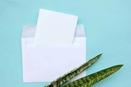 Blank paper and envelope on light blue background with snake plant leaves. Mockup card with green houseplant on colored backdrop. Top view, copy space.の写真素材