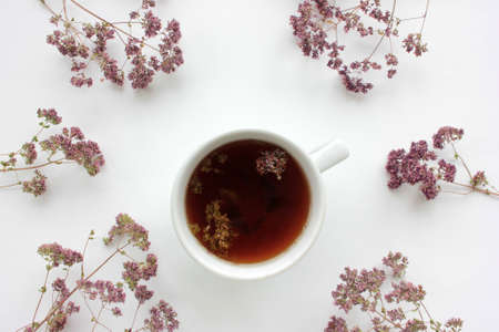 Cup of herbal oregano tea with dry marjoram flowers on white table background with copy space. Top view. Flat lay compositionの写真素材