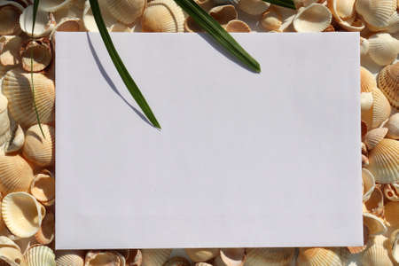 Summer stationery still life with blank paper card and palm leaves shadow on seashells background. Mockup invitation. Hard light. Sunny dayの写真素材