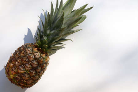 Exotic tropical fruit pineapple on white table. Top view, copy space. Hard light, shadow. Summer backgroundの写真素材