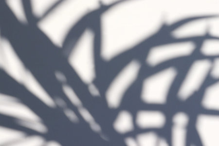 Palm tree leaves shadow on white background. Summer sunny day. Hard light. Tropical vacation...