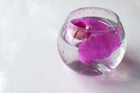 Pink orchid flower in transparent vase with water on white table background. Top view, copy spaceの写真素材