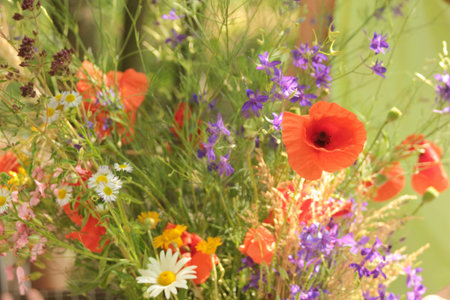 Beautiful summer bouquet of red poppies, white daisies, and other wildflowers in woman's hand outdoor. Natural blurred summer floral background. Selective focusの写真素材