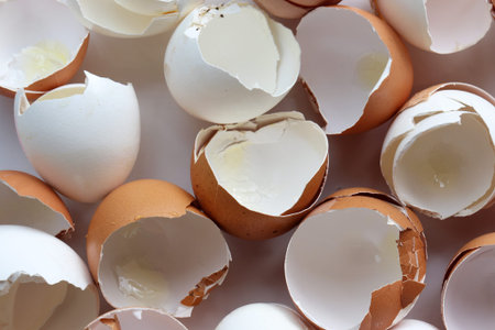 Broken egg shell on white background. Top view. Egg shell texture. Organic ingredient for compost