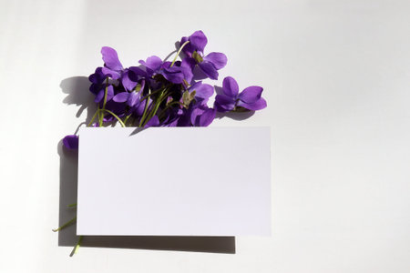 Spring or summer still life with blank paper card and purple flowers on a white background. Mock up...