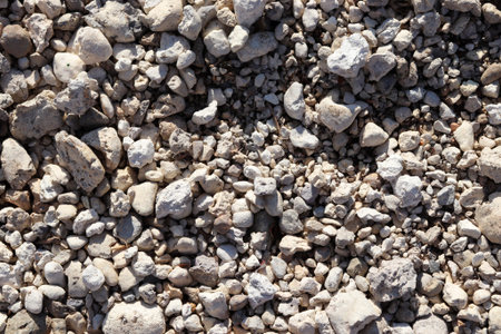 White and gray pebble textured background. Stones on the beach.