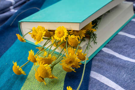 Book and yellow flowers on a fabric background outdoors. Relaxing in nature, summer vacation, enjoying reading a novel. Top viewの写真素材