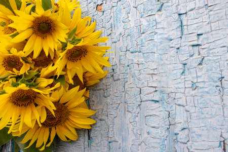 Bouquet of sunflowers on a blue wooden background. Old blue wooden door with yellow flowers. Copy spaceの写真素材