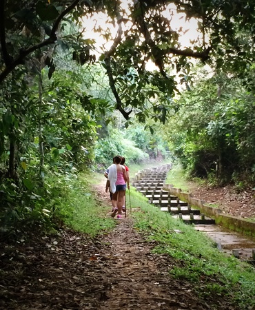 Getting lostの素材