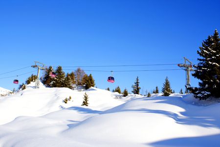 Winterの写真素材
