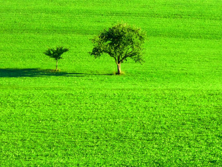 Summerの写真素材