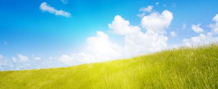 Idyllic lawn with sunlightの写真素材