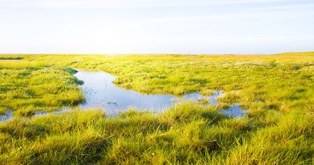 Idyllic lawn with Stream and sunlightの写真素材
