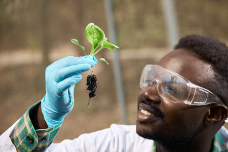 African geneticists, wearing protective glasses, are researching vegetables, scientists holding vegetables and thinking.の写真素材