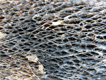 wood pattern