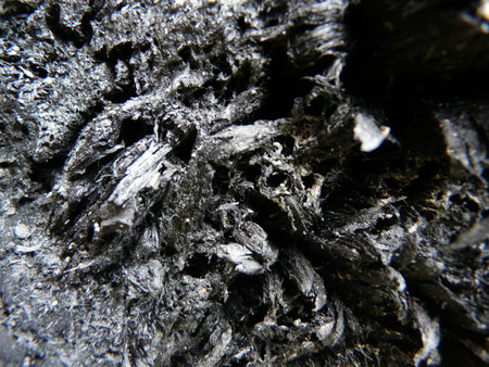 the charcoal