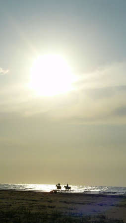 the sunset in dalid beachの写真素材