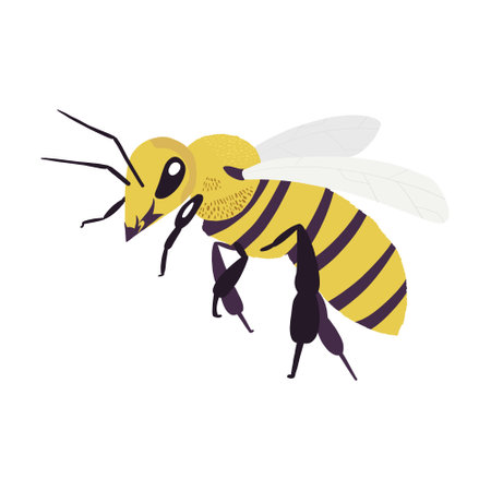 Vector engraving illustration of honey bee - Vector EPSのイラスト素材