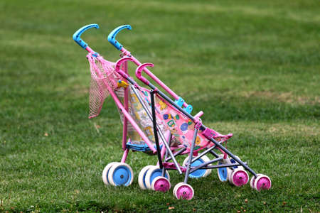 Carriage for dollの写真素材