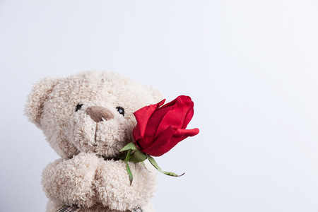 Valentine's Dayの写真素材