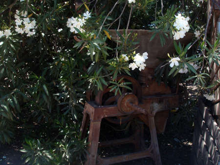 Old machine with flowersの写真素材