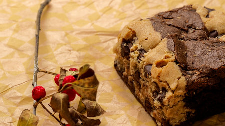 Chocolate cake with nuts on a baking paperの写真素材