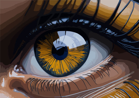 Realistic beautiful women eyeのイラスト素材