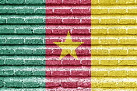 Cameroon flag on an old brick wallの写真素材